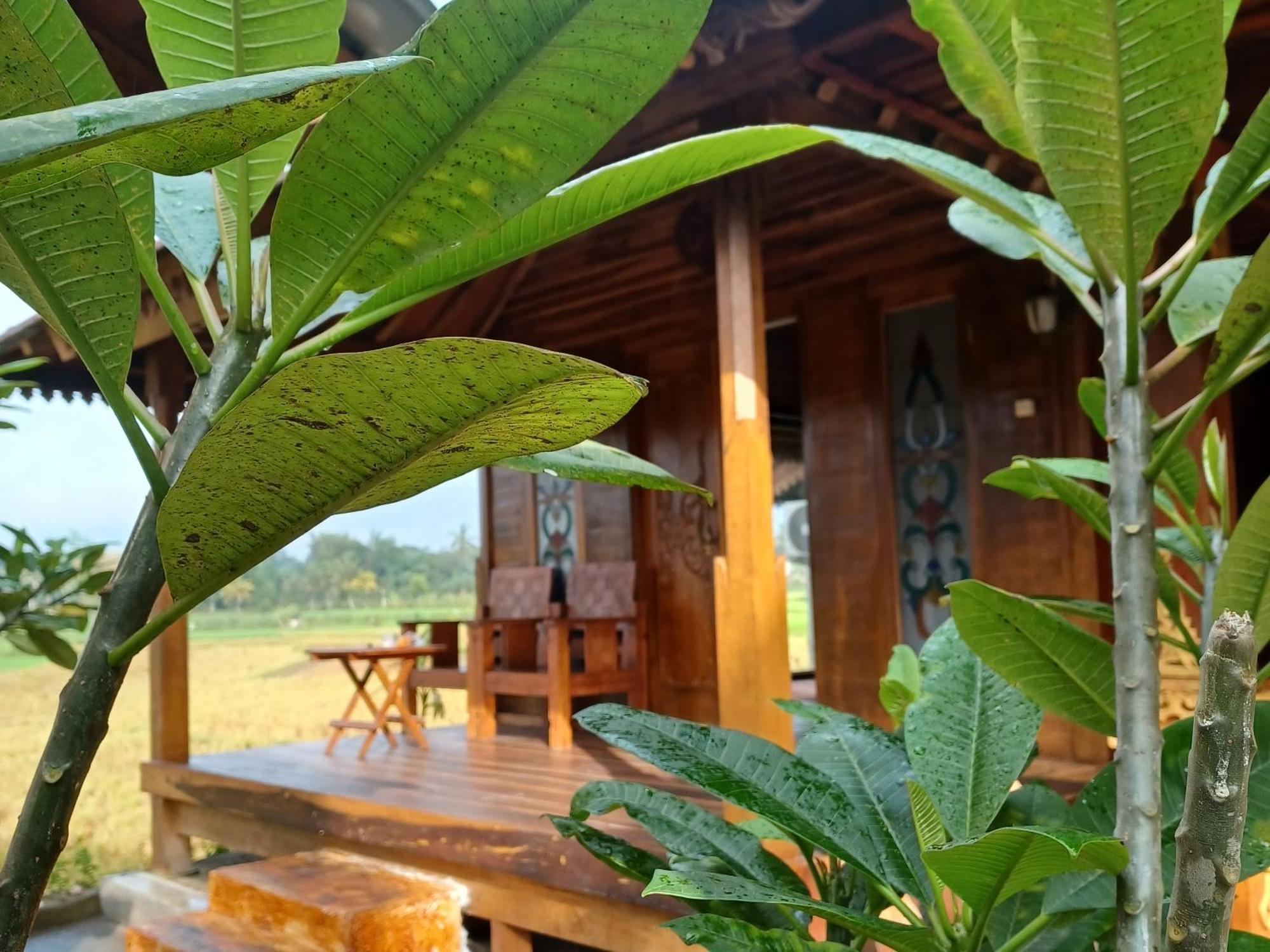 Bujak Permai Villa Matahari Lombok Ntb Praya Eksteriør bilde